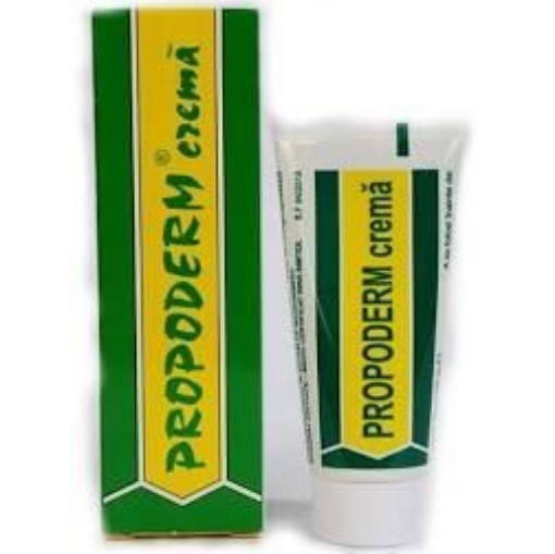 Iccp Apicola Propoderm Crema Tub 30g