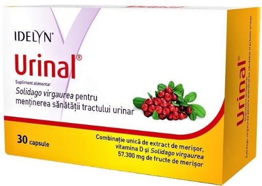 Walmark Idelyn Urinal - 30 Capsule