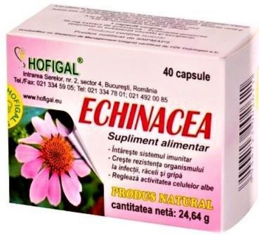 hofigal echinacea 30mg ctx40 cps