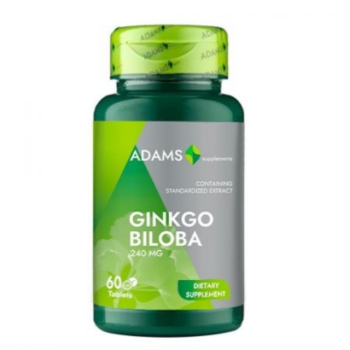 Adams Vision Ginkgo Biloba - 60 Capsule